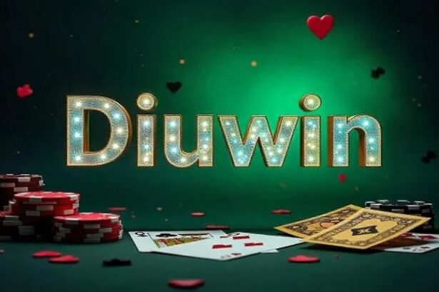 Diuwin Beginner