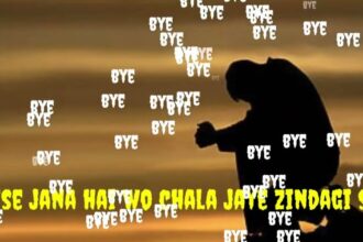 Jise Jana Hai Wo Chala Jaye Zindagi Se Lyrics