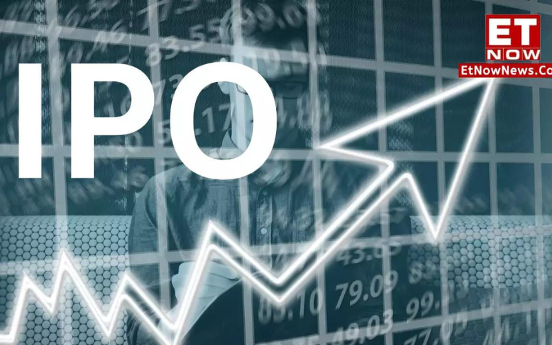 Bls E Services Ipo Allotment Status