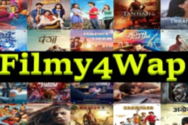 Filmy4wap App