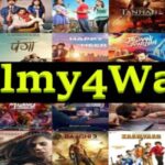 filmy 4 web